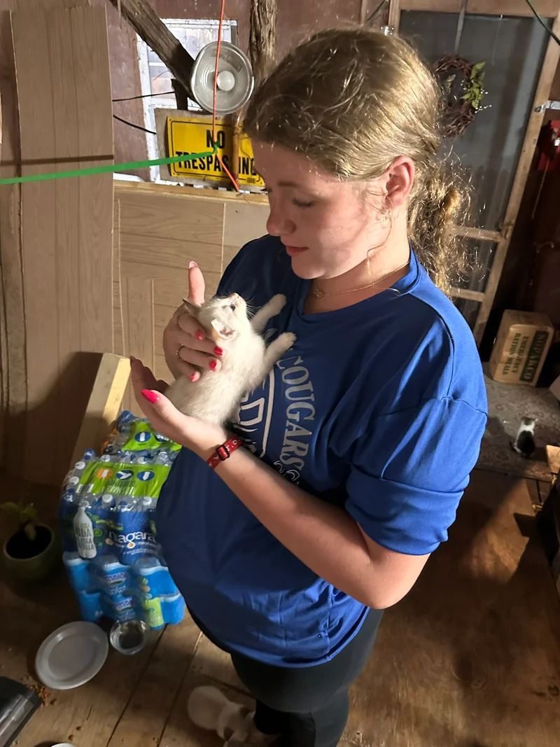 AerianaHelpsStrayKitten tornadorelief