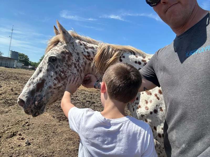 Assisting Horse Rescue with tree damage Horse therapy GTC community