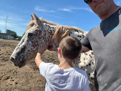 Texas Twisters of 2024: EF1 & EF2 Tornado Gallery