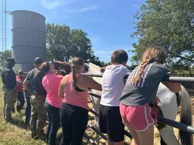 Texas Twisters of 2024: EF1 & EF2 Tornado Gallery