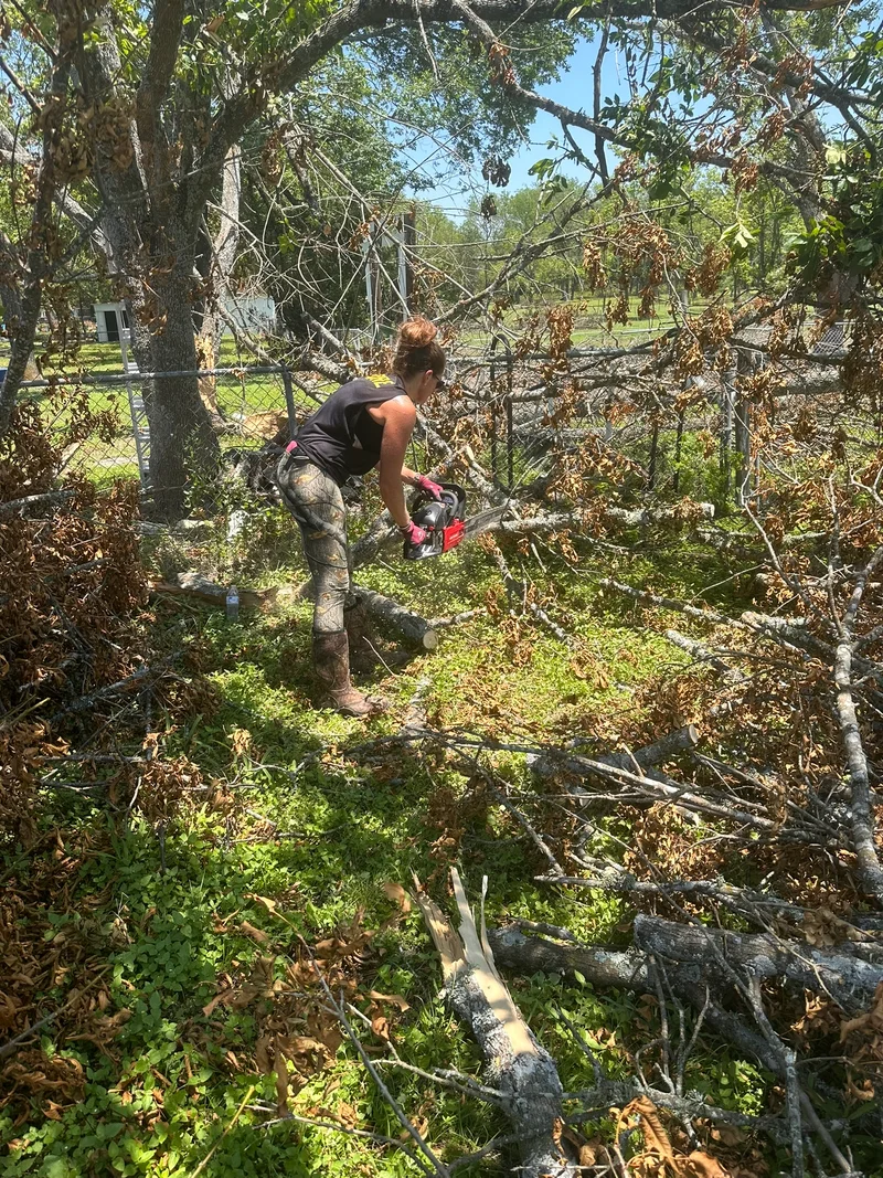 Debris cleanup from Temple F2 tornado GTC CEO slaying trees