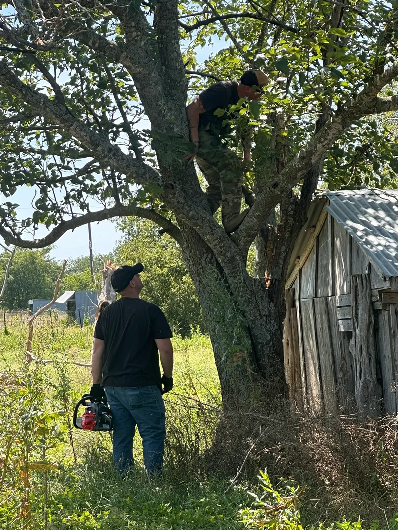 Debris cleanup from Temple F2 tornado GTC fights the heat to make a difference8.