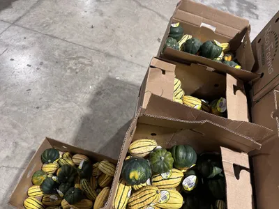 Market with a Mission Dec 2025 - GTC United