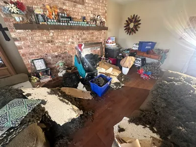 Texas Twisters of 2024: EF1 & EF2 Tornado Gallery