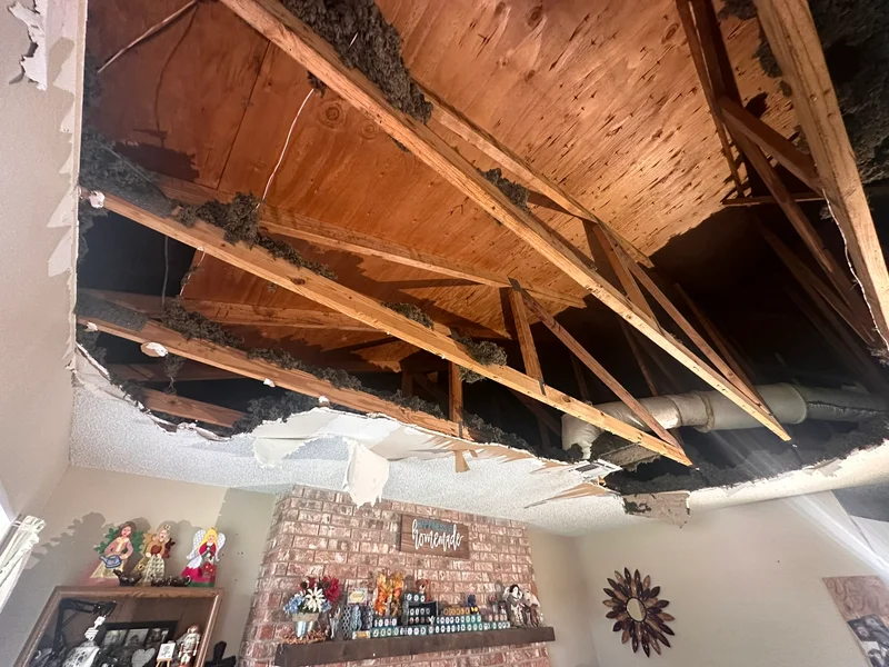 GTC HelpsWithFallenThroughCeiling templetornado=elderlylady