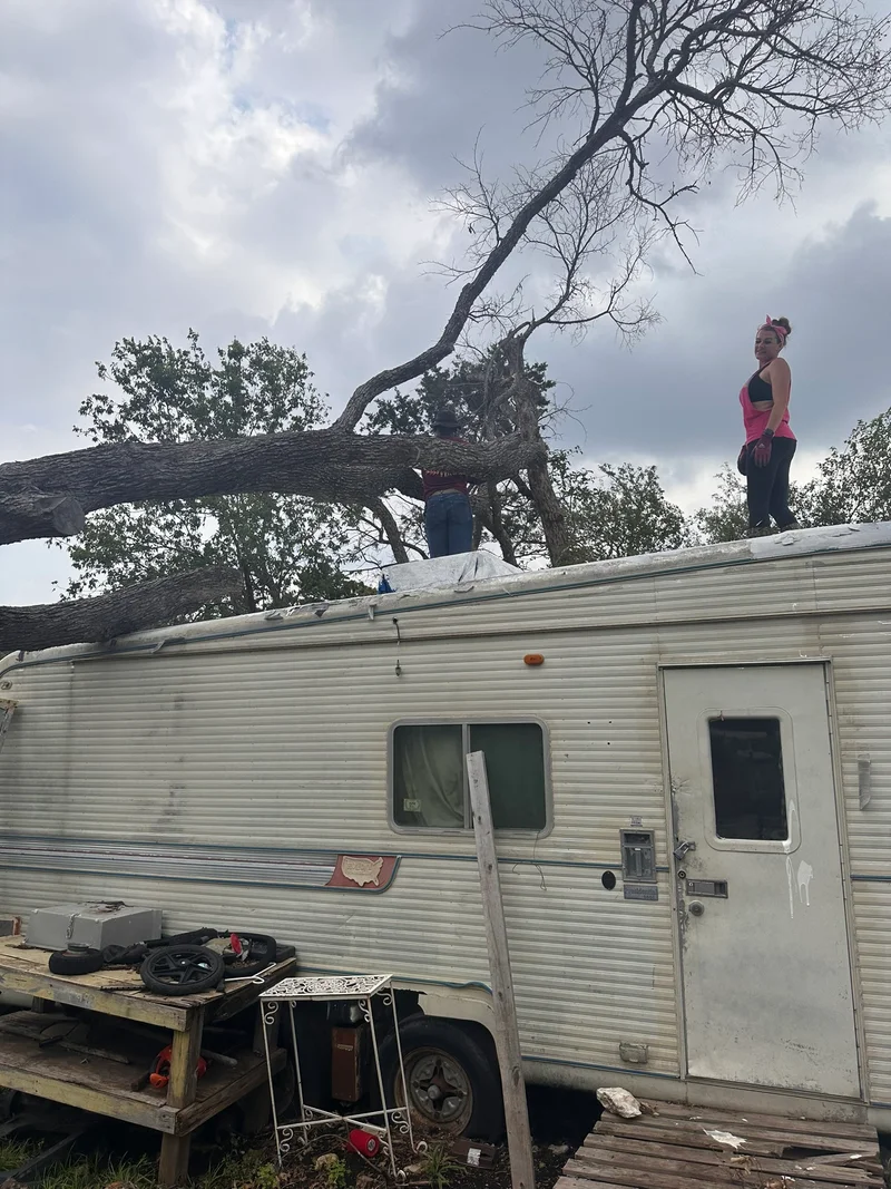 GTC removes tree throughRV
