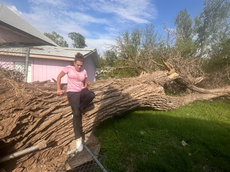 Gianthasfallen enormous tree down from tornado lands inches away from house and mechanic shop