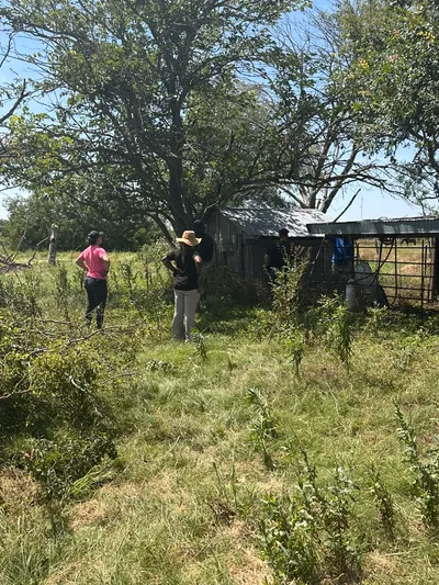 Texas Twisters of 2024: EF1 & EF2 Tornado Gallery