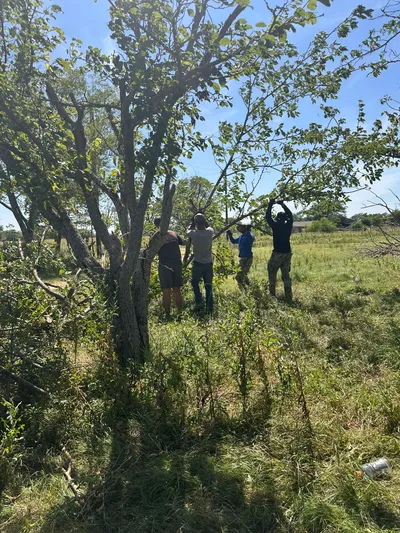 Texas Twisters of 2024: EF1 & EF2 Tornado Gallery