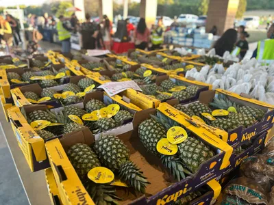 Market with a Mission Dec 2025 - GTC United