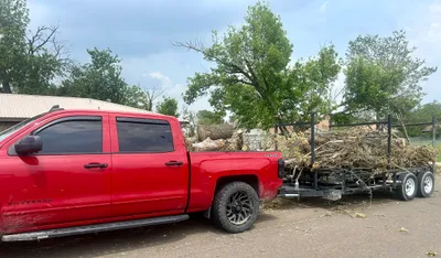 Texas Twisters of 2024: EF1 & EF2 Tornado Gallery