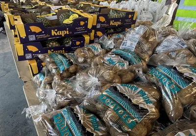 Market with a Mission Nov 2025 - GTC United