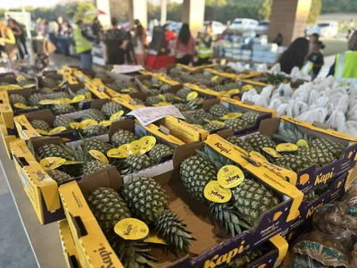 Market with a Mission Nov 2025 - GTC United