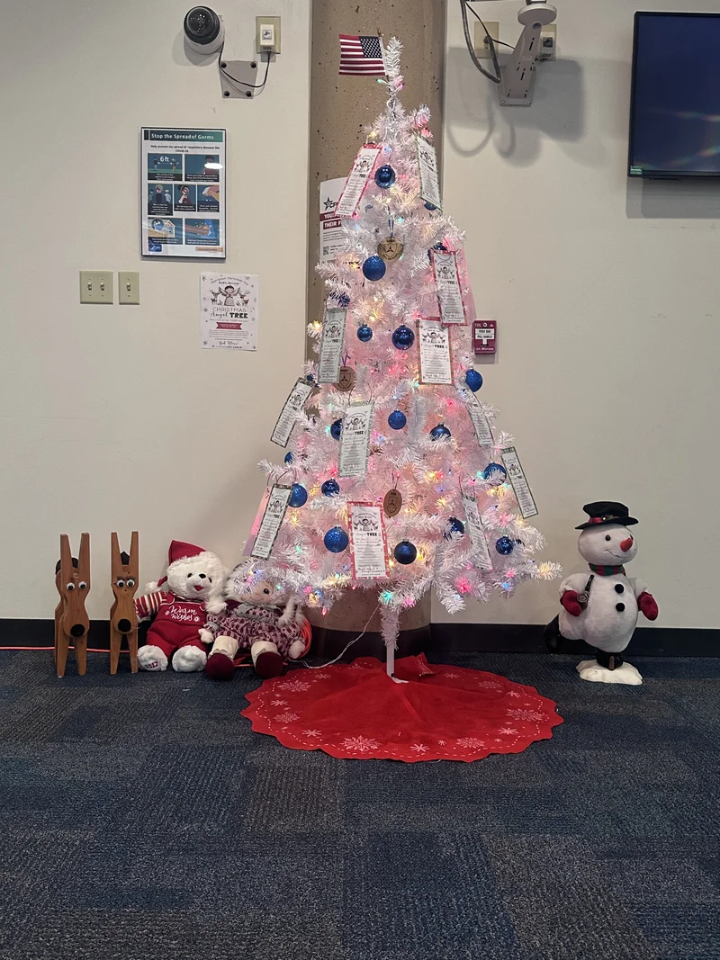 Operation Christmas Joy for mil families 