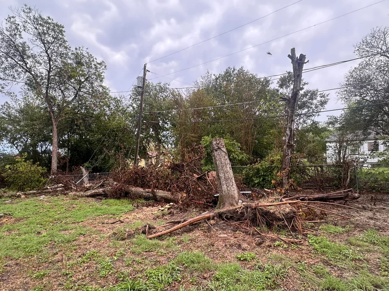Ranae treebackyard tornadorelief2024