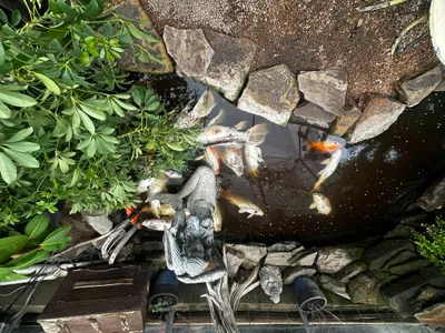 Sandy Creek Strong- Leander Flood Relief