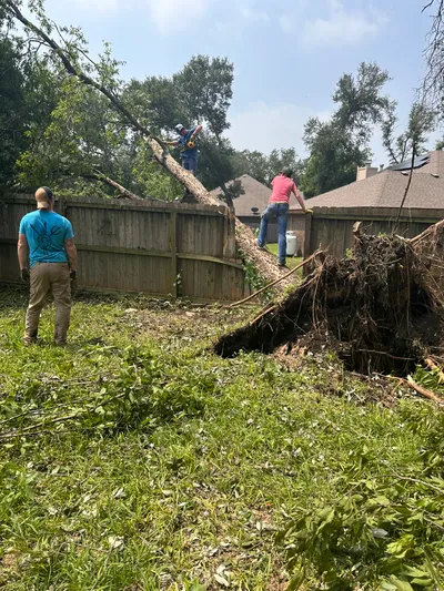 Texas Twisters of 2024: EF1 & EF2 Tornado Gallery