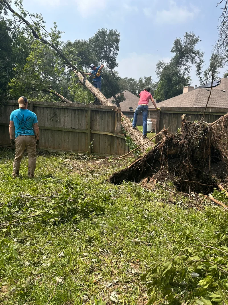 Tornado destructon2024 Belton2