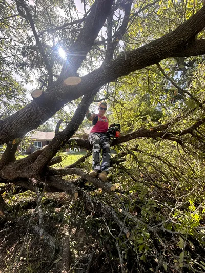 Texas Twisters of 2024: EF1 & EF2 Tornado Gallery