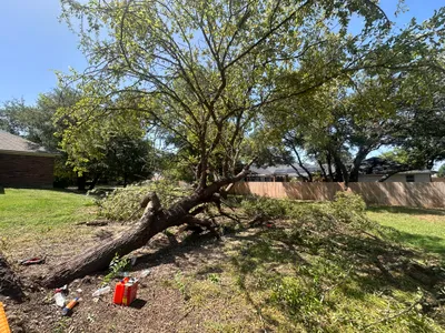 Texas Twisters of 2024: EF1 & EF2 Tornado Gallery